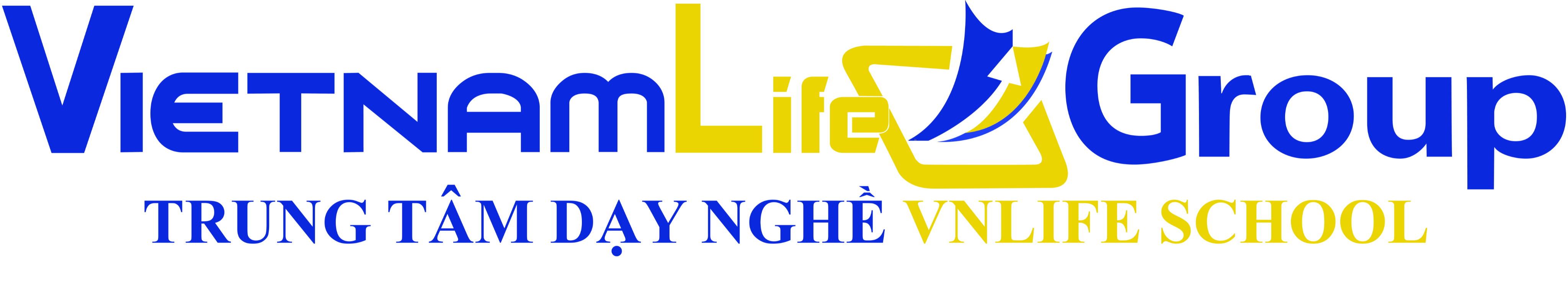 VN Life Group